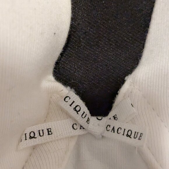 Cacique Lane Bryant 42DDD boost plunge bra like new - Picture 6 of 8